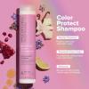 Paul Mitchell Clean Beauty Color Protect Shampoo, Gently Cleanses, Protects Hair Color, For Color-Treated Hair(33.8 Fl Oz (Pack of 1))