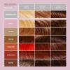 Paul Mitchell Clean Beauty Color-Depositing Treatment, For Refreshing + Protecting Color-Treated Hair(Gloss)