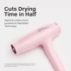 Paul Mitchell Dry Lightweight Professional Hair Dryer, Multiple Heat + Speed Settings, For Salon-Level Blowouts(Pink (Pack of 1))