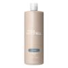 Paul Mitchell Shampoo One, Cleanses + Balances Moisture, for All Hair Types(33.8 Fl Oz (Pack of 1))