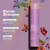 Paul Mitchell Clean Beauty Blonde Purple Shampoo, Gently Cleanses, Eliminates Brassy Tones, For Color-Treated Hair + Naturally Light Hair Colors(8.5 Fl Oz (Pack of 1))