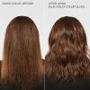 Paul Mitchell The Demi Color Gloss, Glosses in 3 Minutes(Blue Violet)