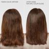 Paul Mitchell The Demi Color Gloss, Glosses in 3 Minutes(Natural)