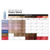 Paul Mitchell The Demi Color Gloss, Glosses in 3 Minutes(Pearl Ash)