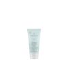 Awapuhi Wild Ginger by Paul Mitchell Intensive Treatment, Rebuilds + Repairs, For Dry, Damaged + Color-Treated Hair(3.4 Fl Oz (Pack of 1))