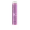 Paul Mitchell Clean Beauty Blonde Purple Shampoo, Gently Cleanses, Eliminates Brassy Tones, For Color-Treated Hair + Naturally Light Hair Colors(8.5 Fl Oz (Pack of 1))