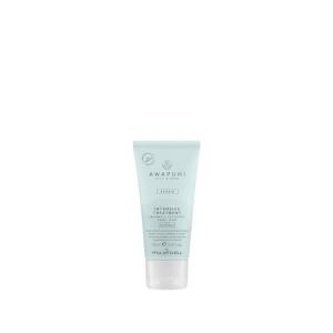 Awapuhi Wild Ginger by Paul Mitchell Intensive Treatment, Rebuilds + Repairs, For Dry, Damaged + Color-Treated Hair(3.4 Fl Oz (Pack of 1))