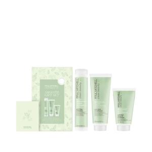 Paul Mitchell Clean Beauty Anti-Frizz Leave-In Treatment, Leave-In Conditioner , For Textured, Frizz-Prone Hair(Delicate floran scent.)
