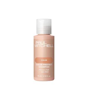 Paul Mitchell Color Protect Shampoo, Prevents Fade + Adds Shine, For Color-Treated Hair(Refreshingly energetic scent with notes of orange  apple and bergamot)