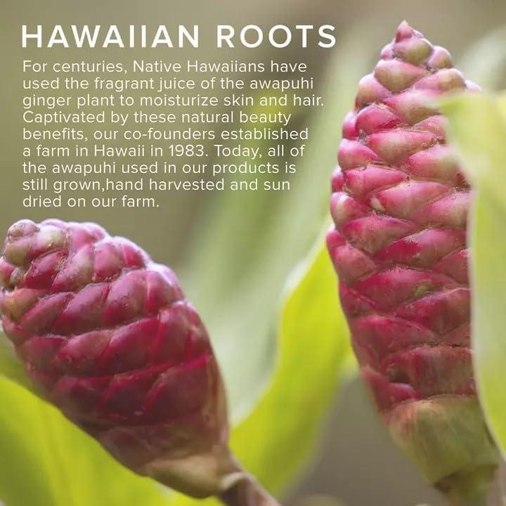 image:imageAwapuhi Wild Ginger by Paul Mitchell Texturizing Sea Spray Creates Beach Waves Adds Body For All Hair Types 51 fl oz51 Fl Oz Pack of 1